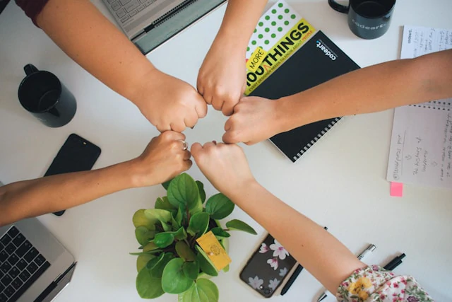 teamwork,source:https://unsplash.com/photos/person-holding-green-flower-bud-CHVTt0aGbx0?utm_content=creditShareLink&utm_medium=referral&utm_source=unsplash